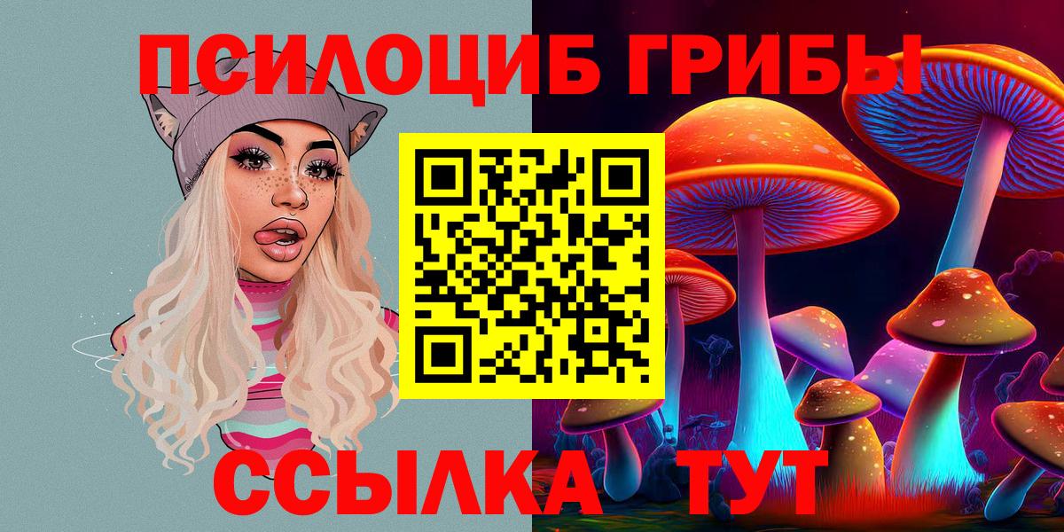 Железногорск  Галлюциногенные грибы Magic Shrooms  Вход с VPN  Псилоцибиновые грибы ЛСД 